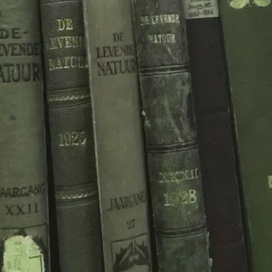 Profile image of 티푸