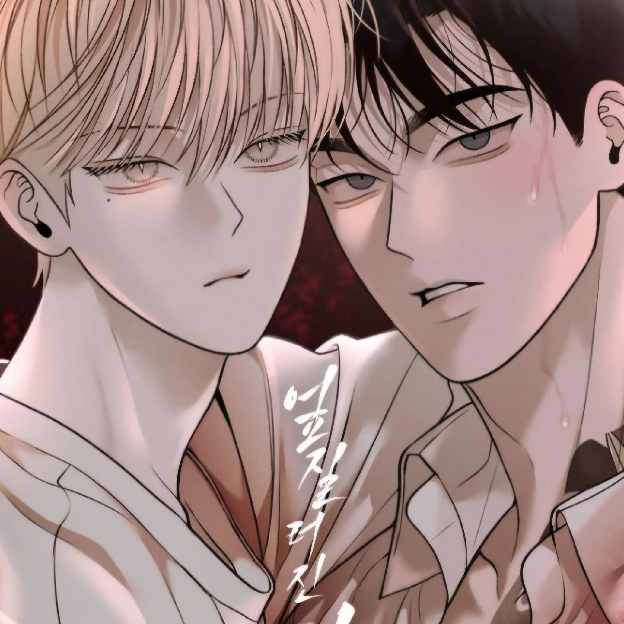Daven의 윤세준 & 강시후