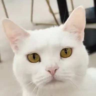 Profile image of 우유