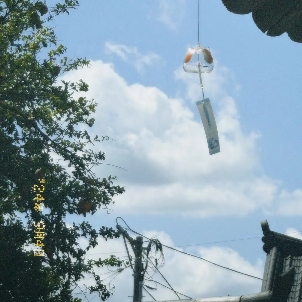 hirosewife의 내 여름의 책갈피