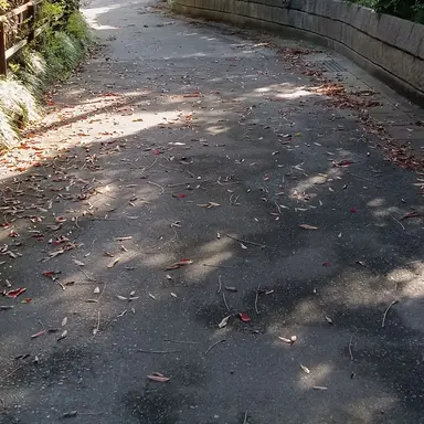 Profile image of 王耀