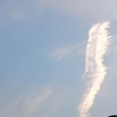 Profile image of 菊