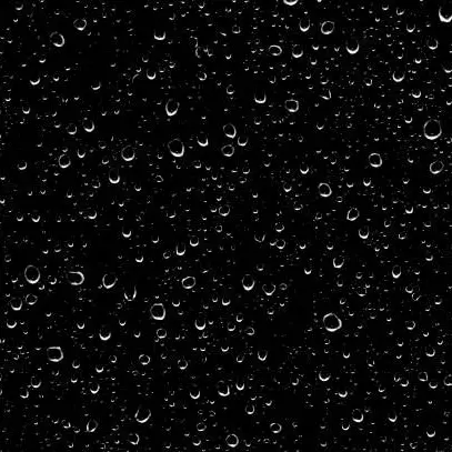 02539의 「はい」しか言えない世界