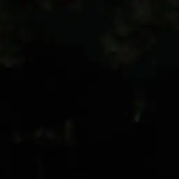Profile image of 하나코