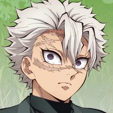 Profile image of 시나즈가와 사네미