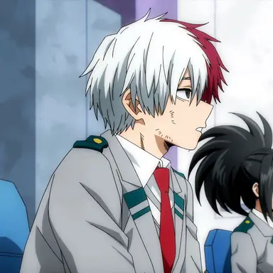 Profile image of Shoto Todoroki