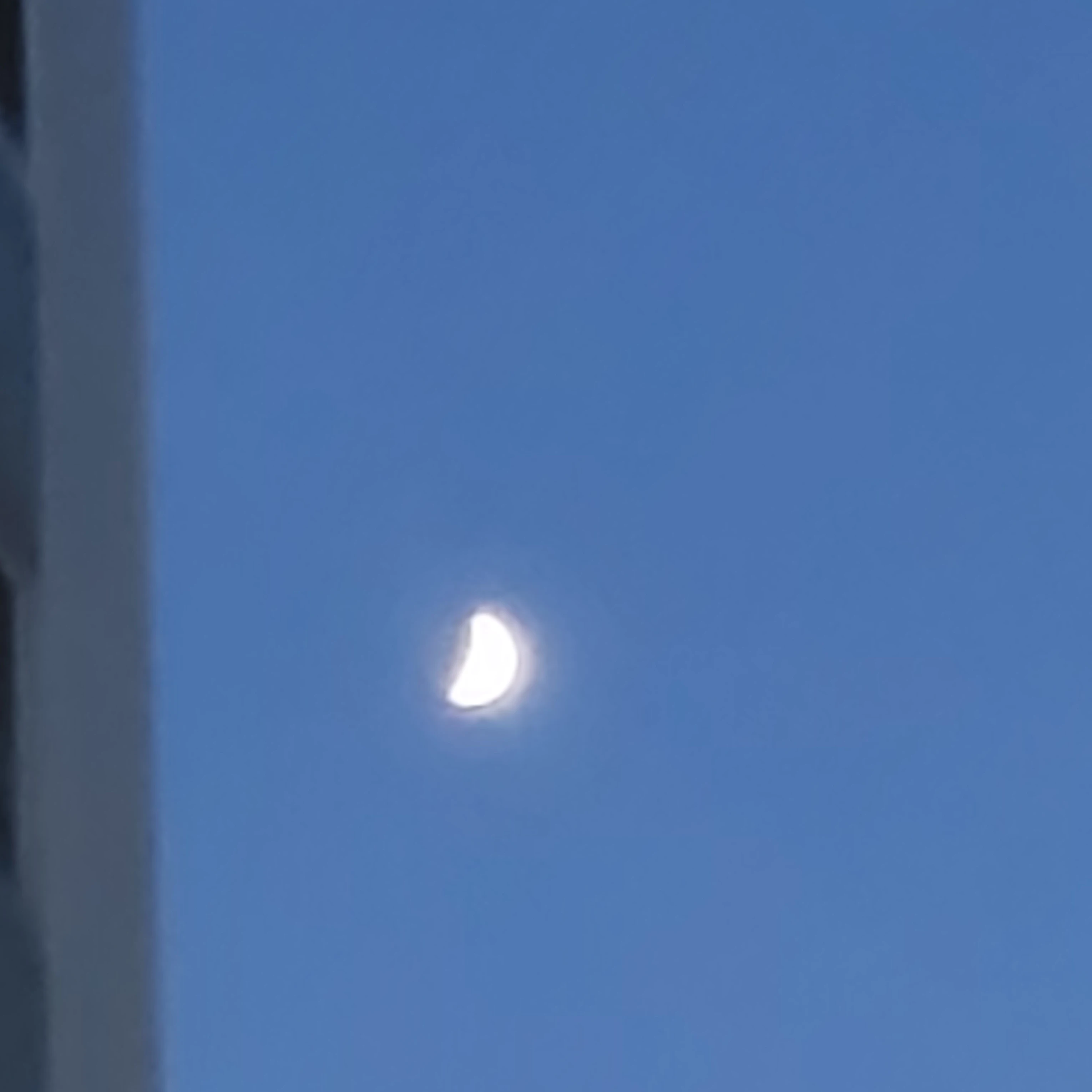 안전요원