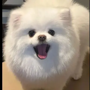 Profile image of すんぐぁん
