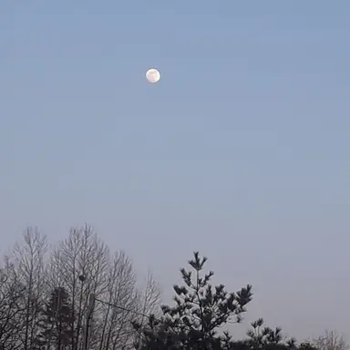 Profile image of 나히아