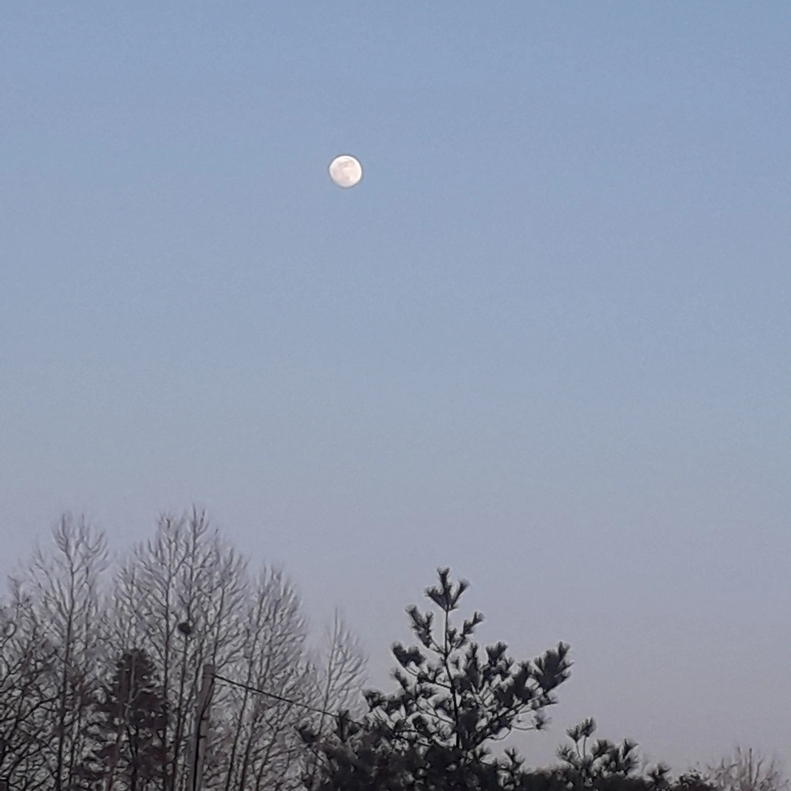 FunkyBlock6778의 나히아