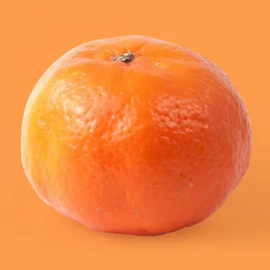 Profile image of 감귤