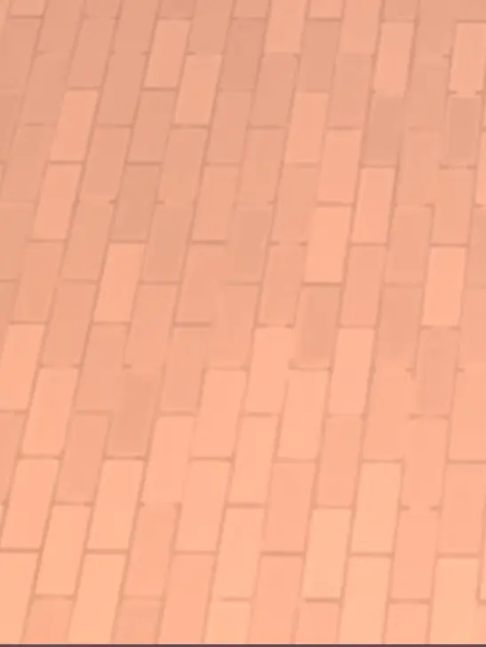 BrassyOptic1516의 오직 보스를 위해 헌신하겠습니다.