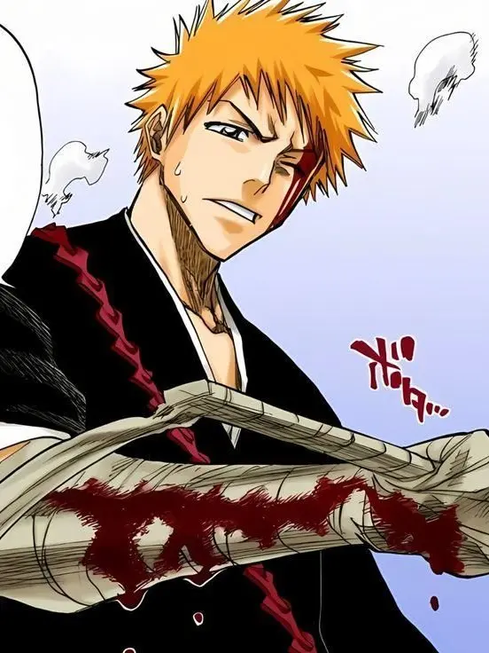 BentLuck5181의 BLEACH Succubus
