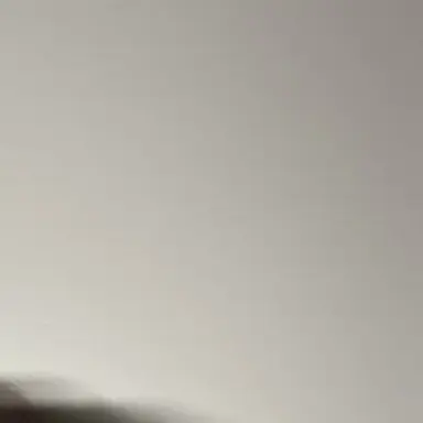 Profile image of 御門佐美羅