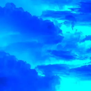 Profile image of 中島健人