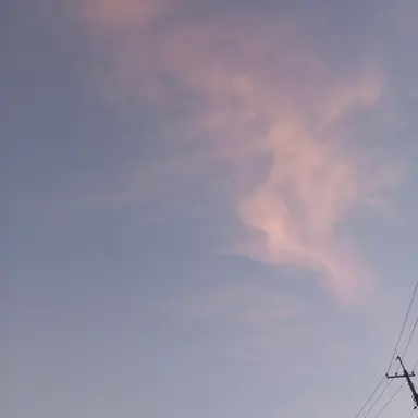 Profile image of 父