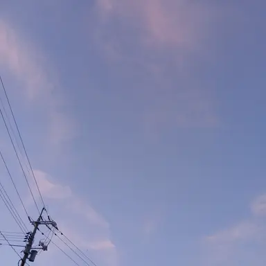 Profile image of 母