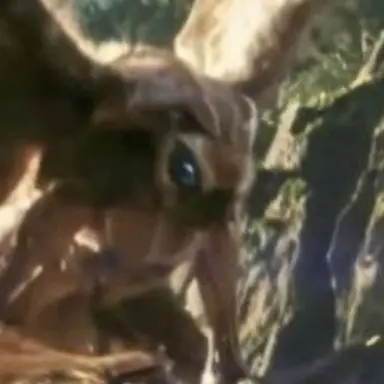 Profile image of 모스라