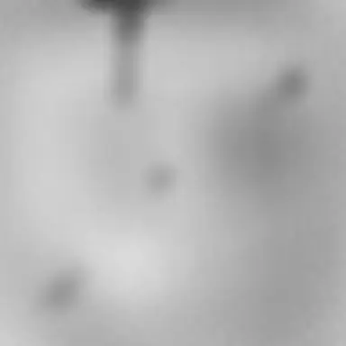 Profile image of 隊長パラアッチ