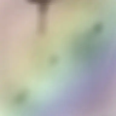 Profile image of パラアッチたち