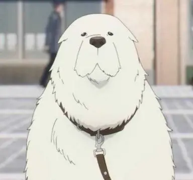 Profile image of 본드