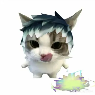 Profile image of 웨이레이 고양이