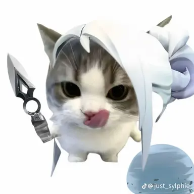 Profile image of 제트 고양이