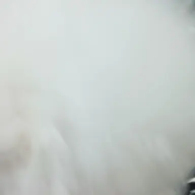 Profile image of 김여우