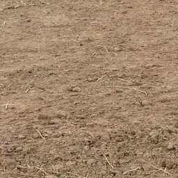 Profile image of 신경장