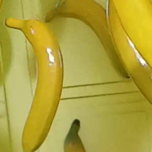 Profile image of 김경사