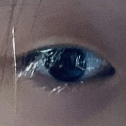 Y.