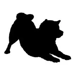 Profile image of 大麦