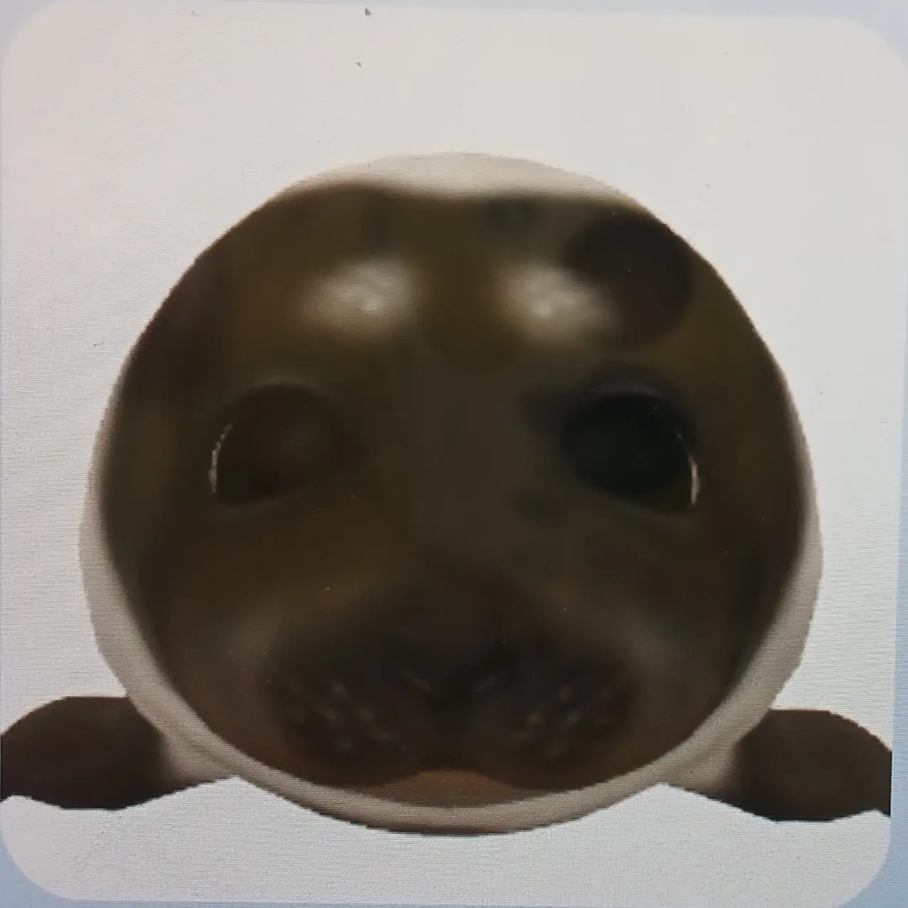 PlainOasis4539의 폐가 실험실 탈출하기