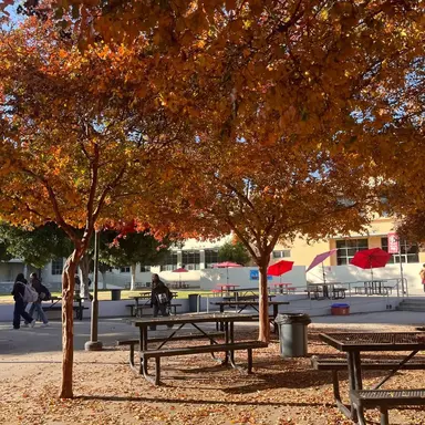 Profile image of Maplewood Middle School
