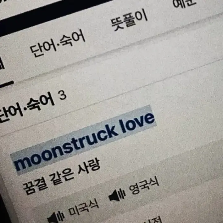 SOLYLU의 [ 0521 ]