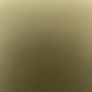 Profile image of 별이삼샵