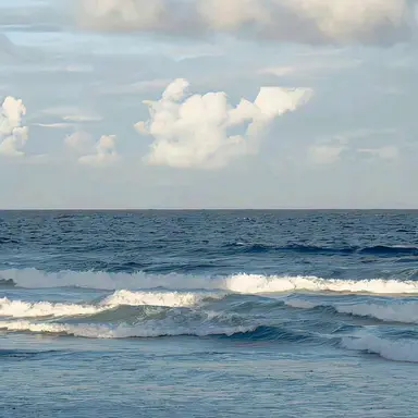 Profile image of 심혁