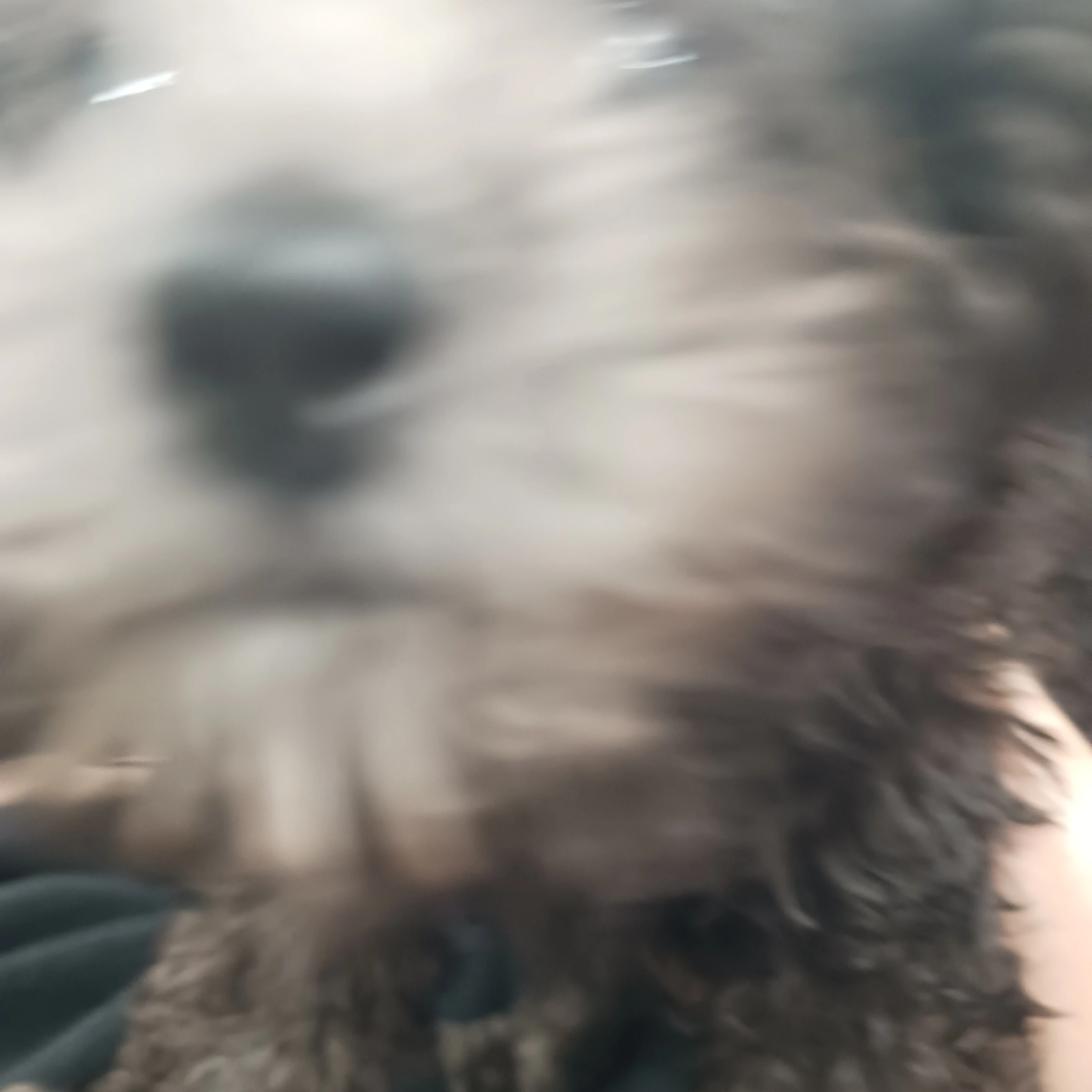 껌이