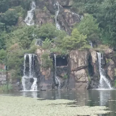 Profile image of 이장