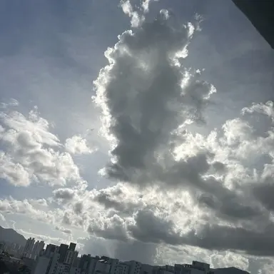 Profile image of 팬들
