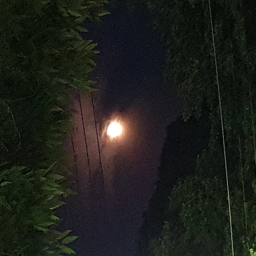 김남울