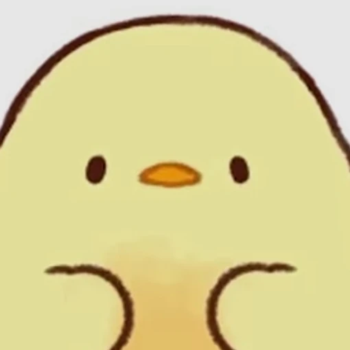 개발자 bob