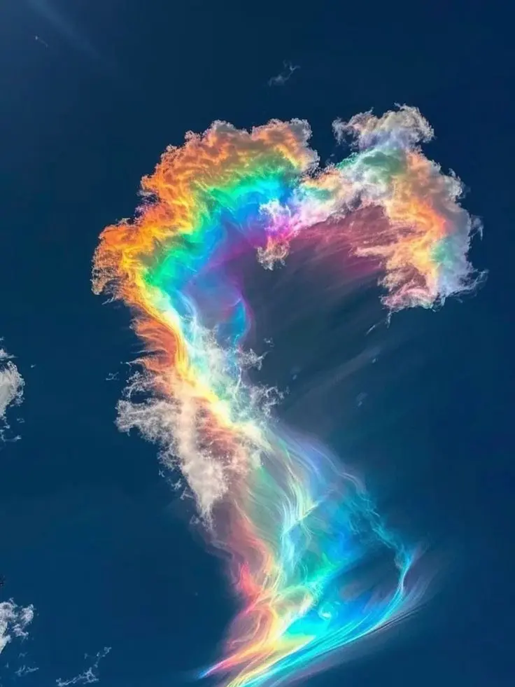 PainedGorge1276의 미수반2와 여우와 사건해결하게된 유저