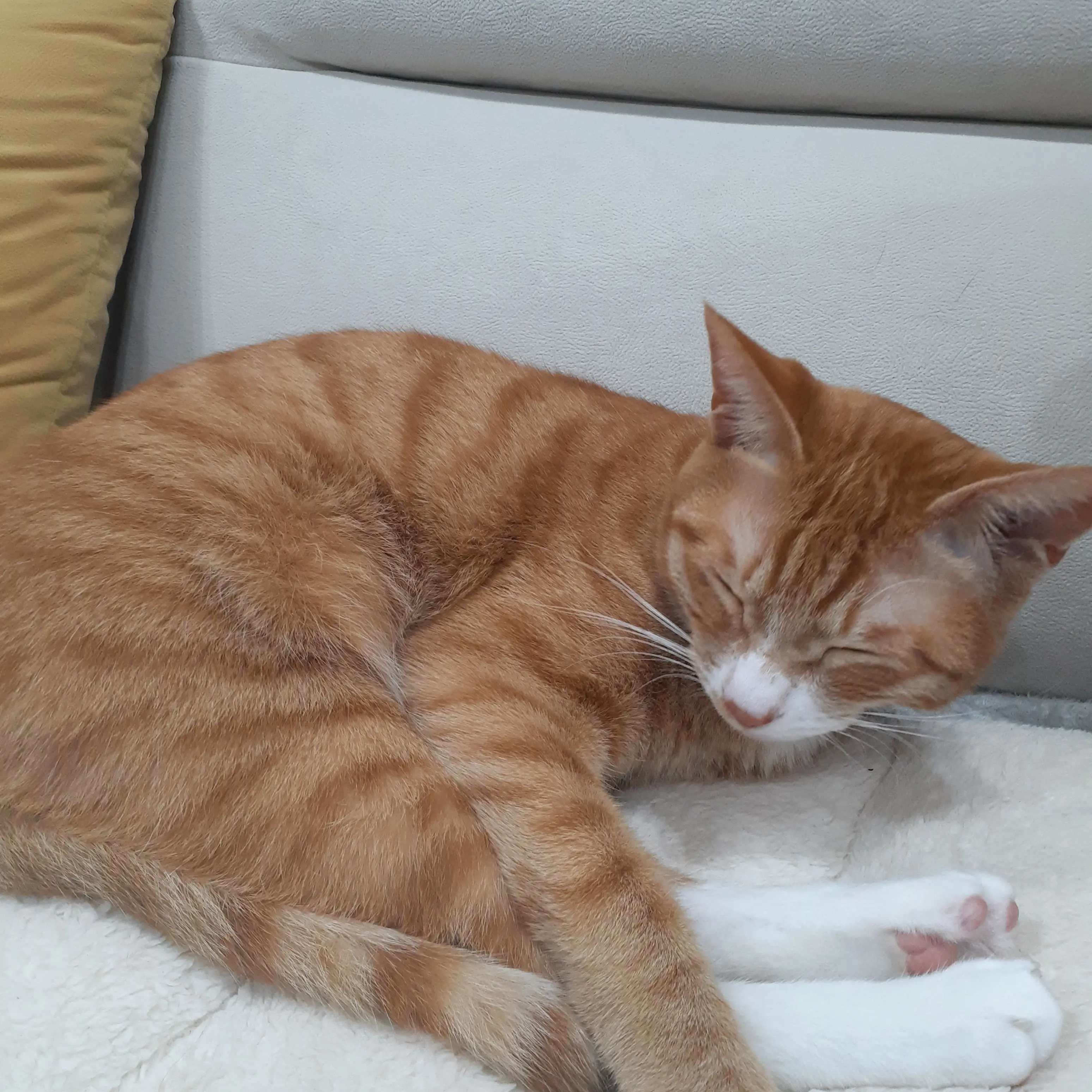 WarmKagu5373의 오줌싸는거볼래