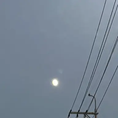 Profile image of 제우스