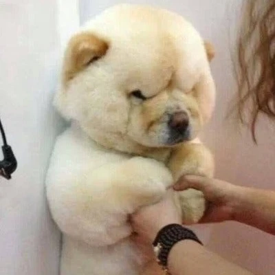 아르민