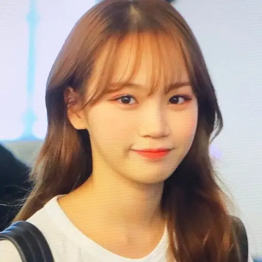 IOOl의 아르시