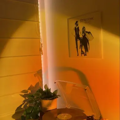 Profile image of 코마