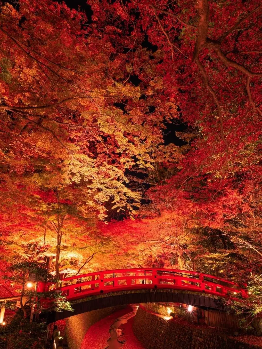 aa_96의 神様ロレに気に入られちゃった