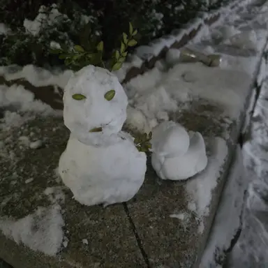 Profile image of 권지용